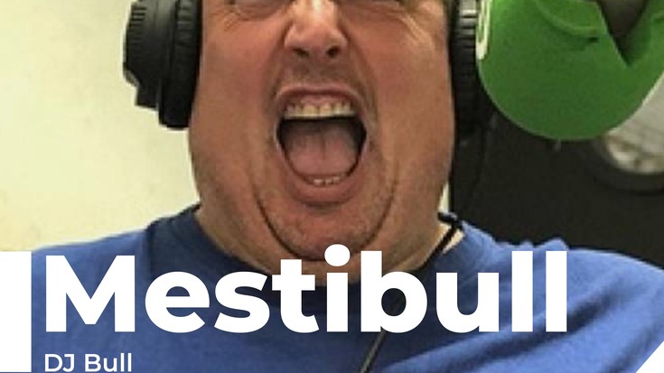 Mestibull 2019 11 08 